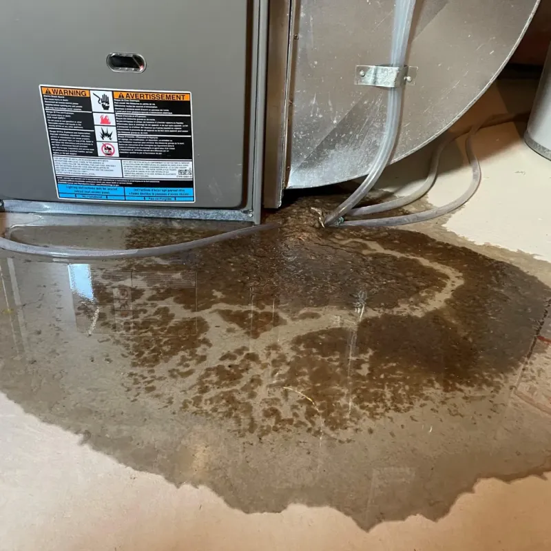 Appliance Leak Cleanup in Cricket, NC